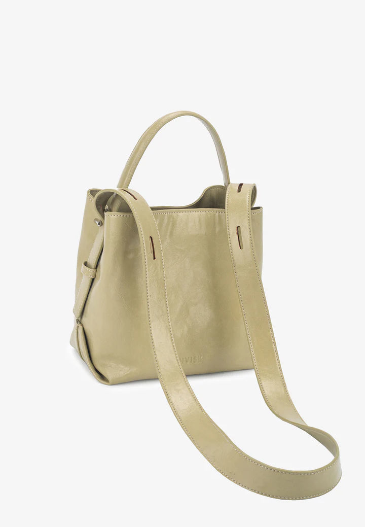 molly glossy structure