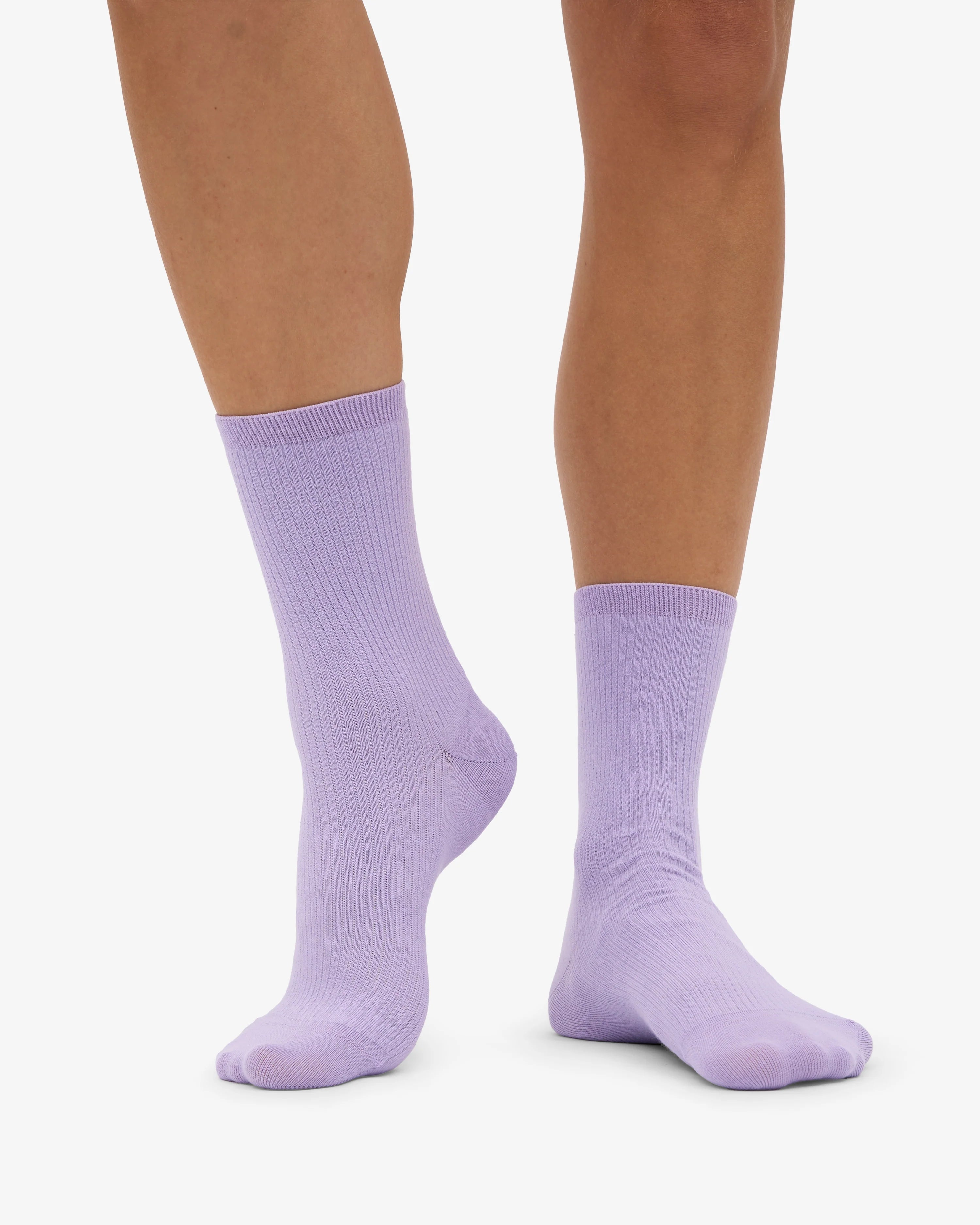 sock1_61b88753-2bce-4c09-aca9-a742163ab35f.webp